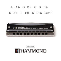 Suzuki Hammond HA-20 Munnspill (F#)