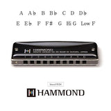 Suzuki Hammond HA-20 Munnspill (F#)