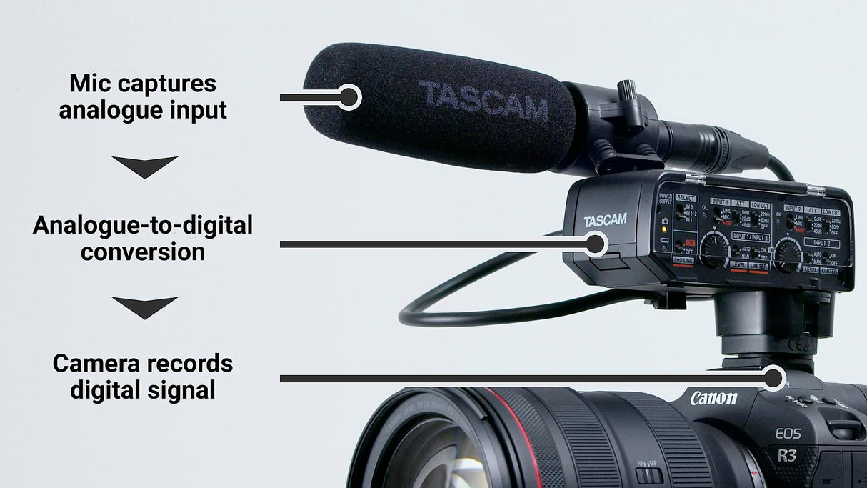 Tascam CA-XLR2D mikrofonadapter til kamera, Analog input
