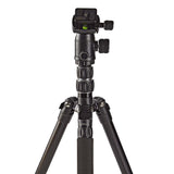 Stativ (svart, 3 kg, 145 cm)