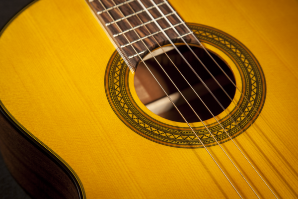 Takamine GC1ce-Night Classic Spanish Guitar (Nature)