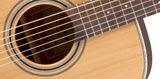 Takamine GD20-NS Western gitar (naturlig)