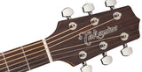 Takamine GD20-NS Western gitar (naturlig)