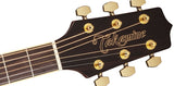 Takamine GD51CE-NIG Western Guitar (Natur)