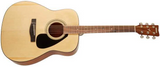 Yamaha F310 Folk Gitarr (nature)