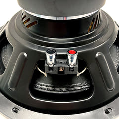 Phoenix Gold subwoofer (12")