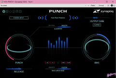 PUNCH
