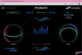 PUNCH