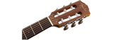 Fender CN-60S Natural