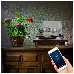 DNA TT1 platespiller med Bluetooth
