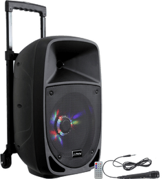 Ibiza Party8LED-festivalhøyttaler (300W)