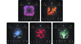Komplete 26 Ultimate UPD for Standard 14 and older