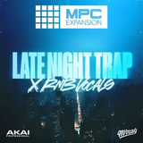 Late Night Trap x RnB Vocals by 91Vocals