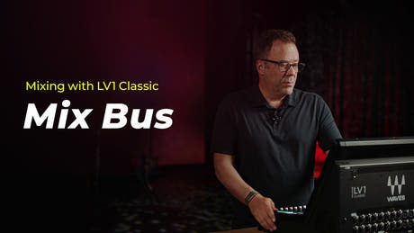 LM1V