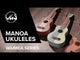 GEWA sopranukulele Manoa Surf Style - sopran (Pacific Lagoon)