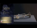 GEWA Vision TR272 Bb-trompet, klarlakk