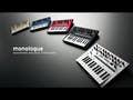 Korg Monologue Silver Synthesizer
