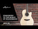 Applause E-akustisk Gitarer AB24II CS Mid Cutaway - Naturlig sateng (AB24-4S)
