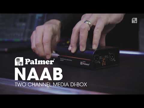 Palmer RIVER naab - Passiv 2-kanals DI-boks for mediebruk