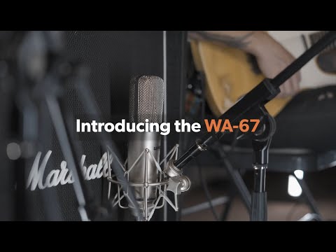 Warm Audio WA-19 Black
