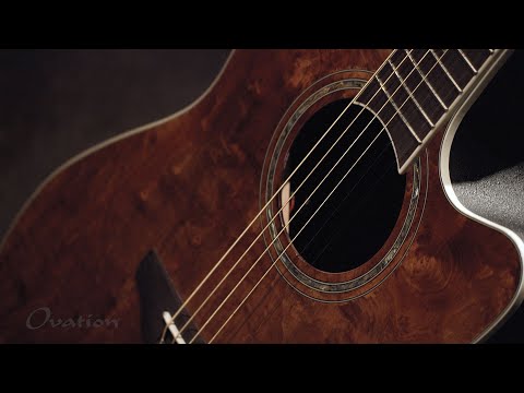 Ovation E-akustisk Gitarer Celebrity Standard Plus Mid Cutaway - Muskat burled maple (CS24P-NBM-G)