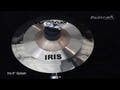 Masterwork Iris 8" Splash