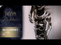 GEWA Ambition CL650 Bb-klarinett, Boehm-system