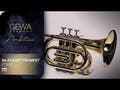 GEWA Ambition PT650 Bb-lommetrompet, klarlakk