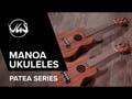 GEWA Concert Ukulele Manoa P-CO - Konsert (Sapelli matt)