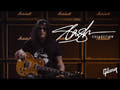 Epiphone Slash Les Paul Standard elektrisk gitar ( November Burst )