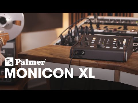 Palmer Monicon XL Active Monitor Controller