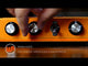 Warm Audio Fluff Drive White - Begrenset utgave