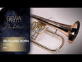 GEWA Ambition FH501 Bb-flygelhorn, klarlakk