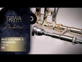 GEWA Ambition TB650 Bb/C-barnebasun, klarlakk