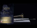 GEWA Vision TB236F Bb/F-tenorbasun, klokke i gul messing